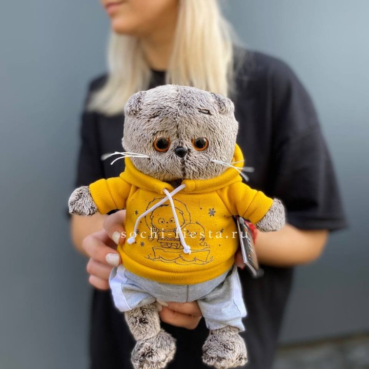 Кот Басик в худи в Красной Поляне