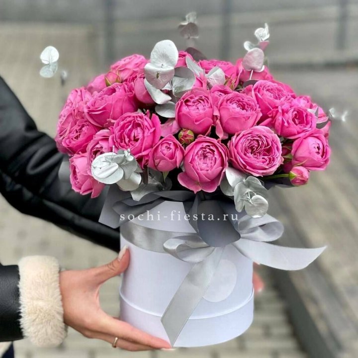 Misty Box Premium №2 в Красной Поляне