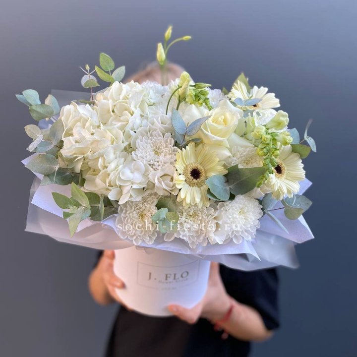  Коробочка  " Луна" в Красной Поляне