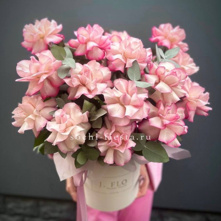 17 Французских  роз Венди в боксе в Красной Поляне