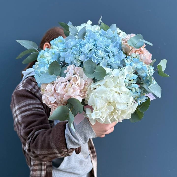 Гортензии в коробочке в Красной Поляне