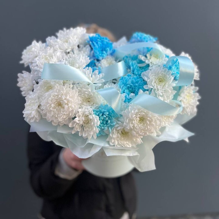 Хризнтемы в боксе в Красной Поляне