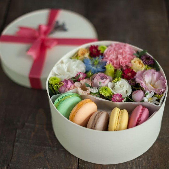 Bon Box White в Красной Поляне