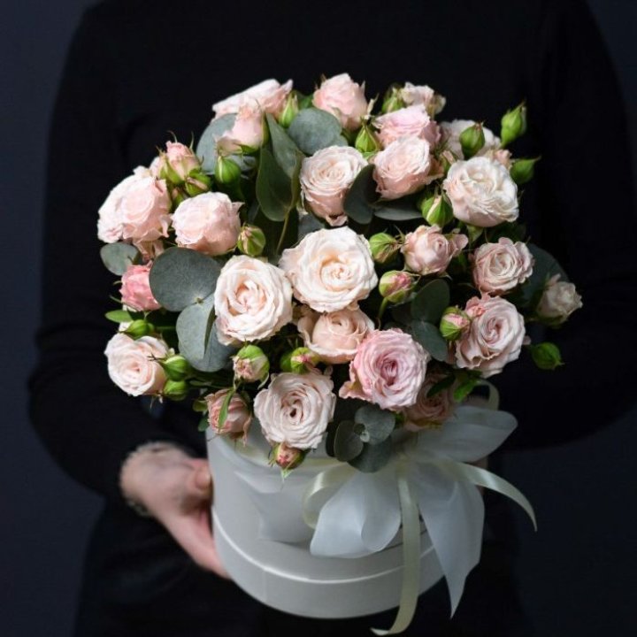 Бомбастик бокс №2 в Красной Поляне