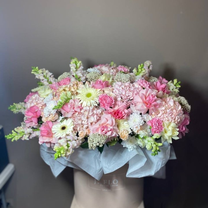  Коробка гигант 3 в Красной Поляне