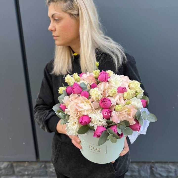 Сборный бокс премьер в Красной Поляне