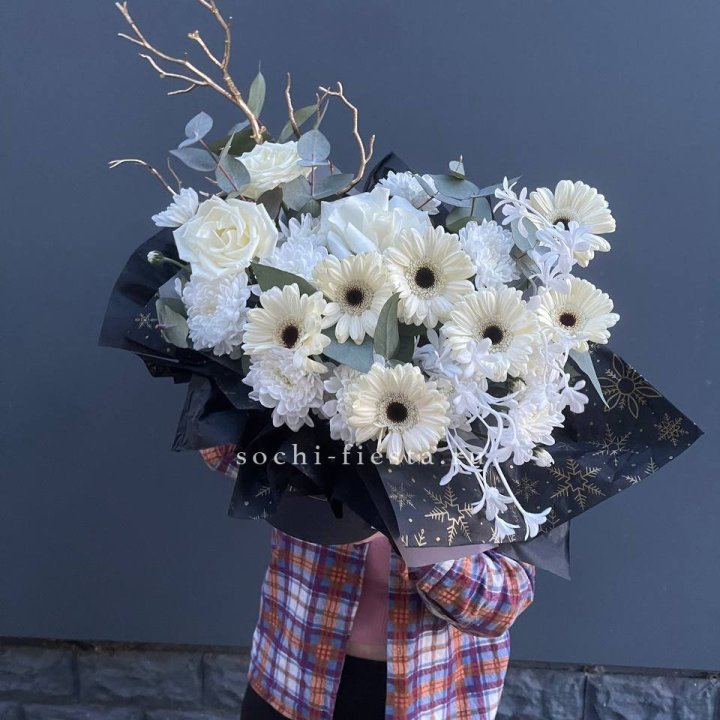 Бокс "Полуночная луна" в Красной Поляне