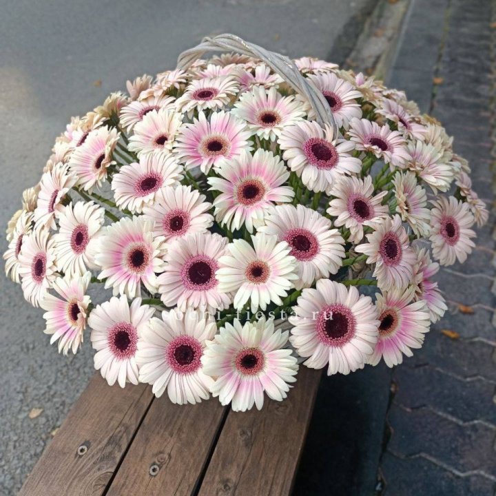 Корзина с герберами  в Красной Поляне