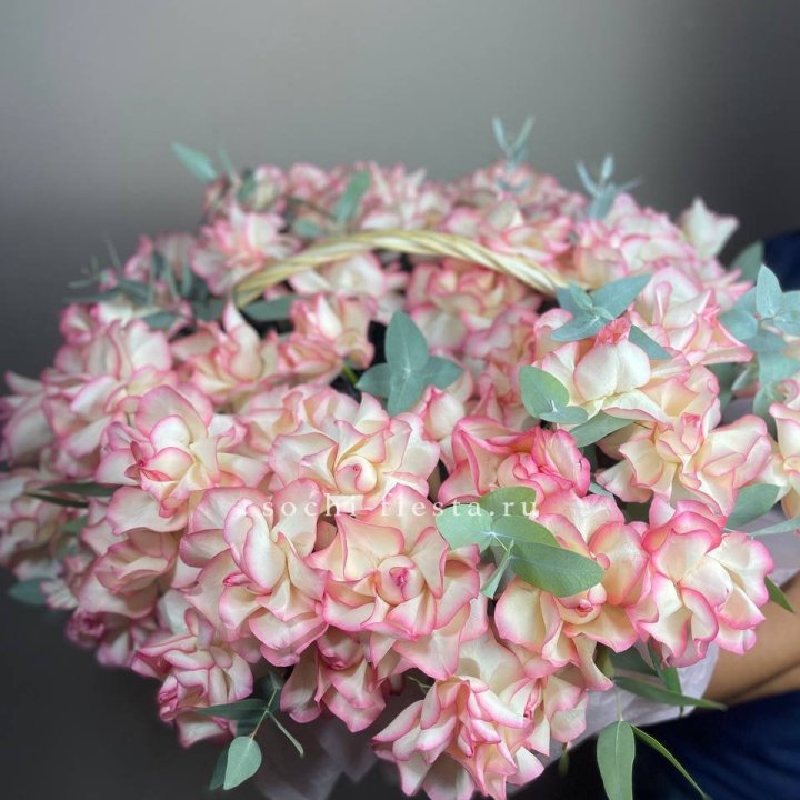 51 джумилия  в корзине   в Красной Поляне