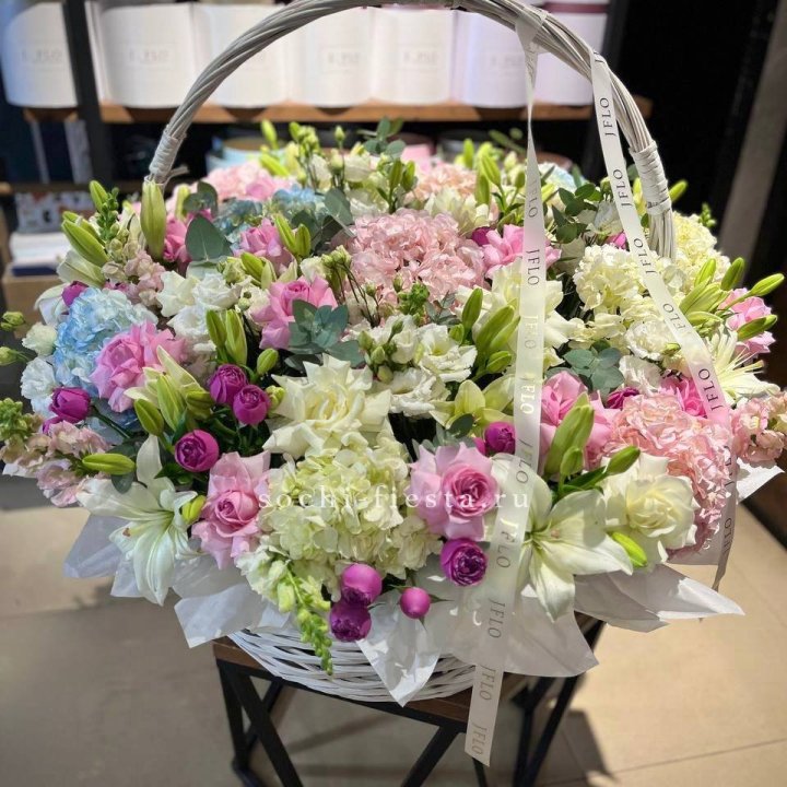 Корзина гигант в Красной Поляне