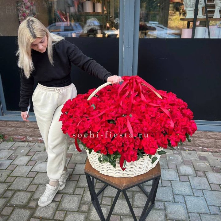 201 французская красная роза в Красной Поляне