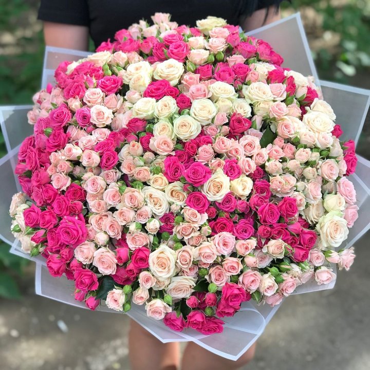 101 кустовая роза в Красной Поляне