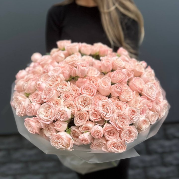 51 кустовая роза Бомбастик в Красной Поляне