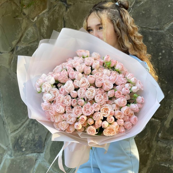 45 роза бомбастик Creams в Красной Поляне