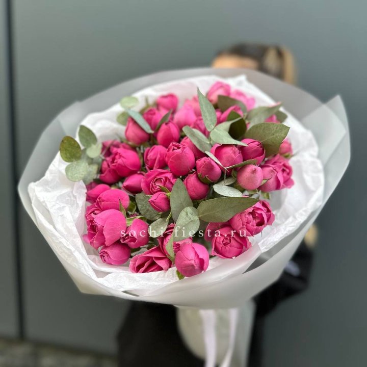 17 Мисти бабблс в Красной Поляне