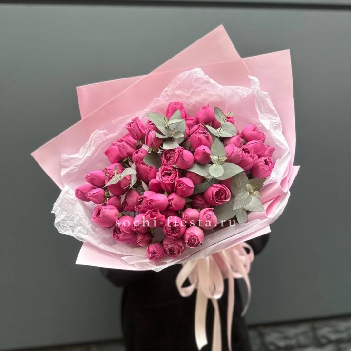 25 Мисти бабблс в Красной Поляне