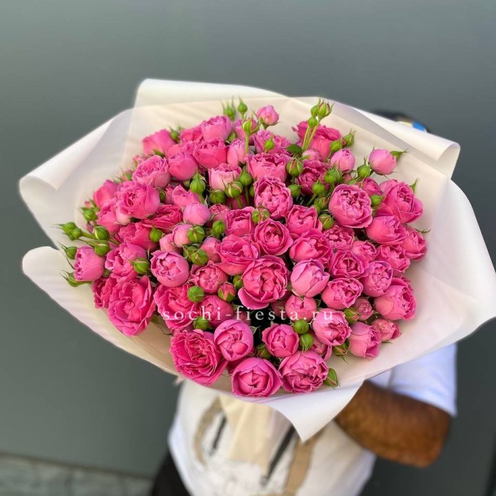 Мисти Баблс 35шт в Красной Поляне