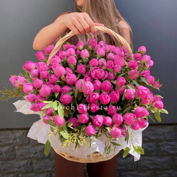 Misty Basket 51 в Красной Поляне