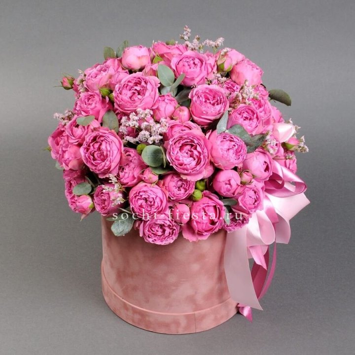 Мисти бокс №1 в Красной Поляне