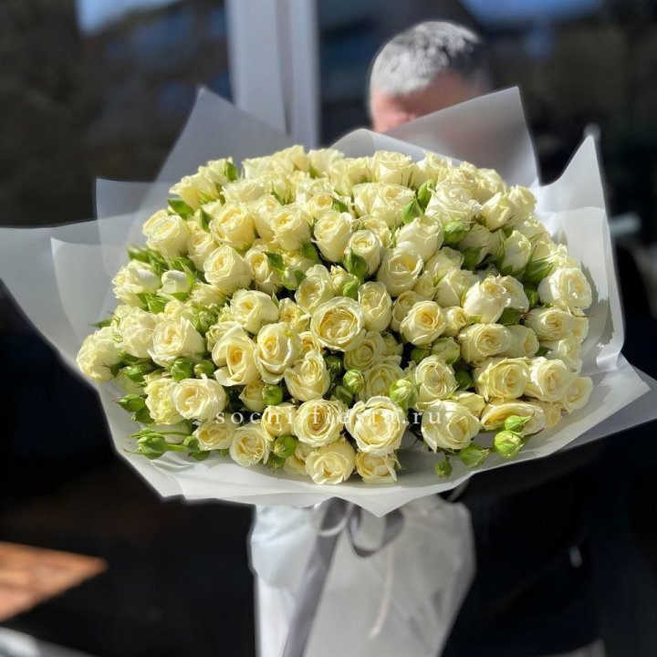 Белые кустовые розы 31 шт в Красной Поляне
