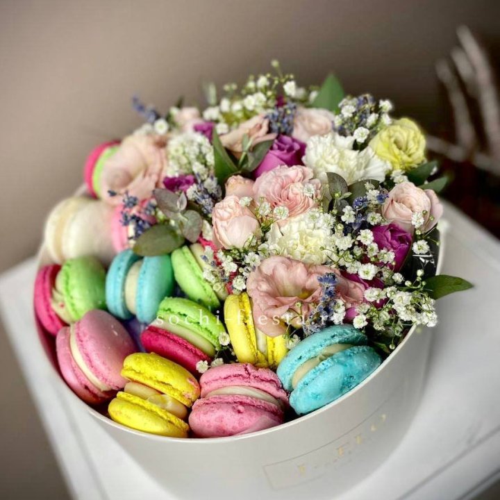 Creambox L в Красной Поляне