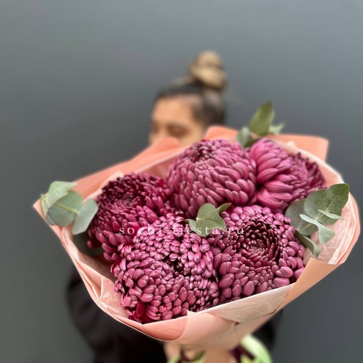 Хризантемы  Бигуди  в Красной Поляне