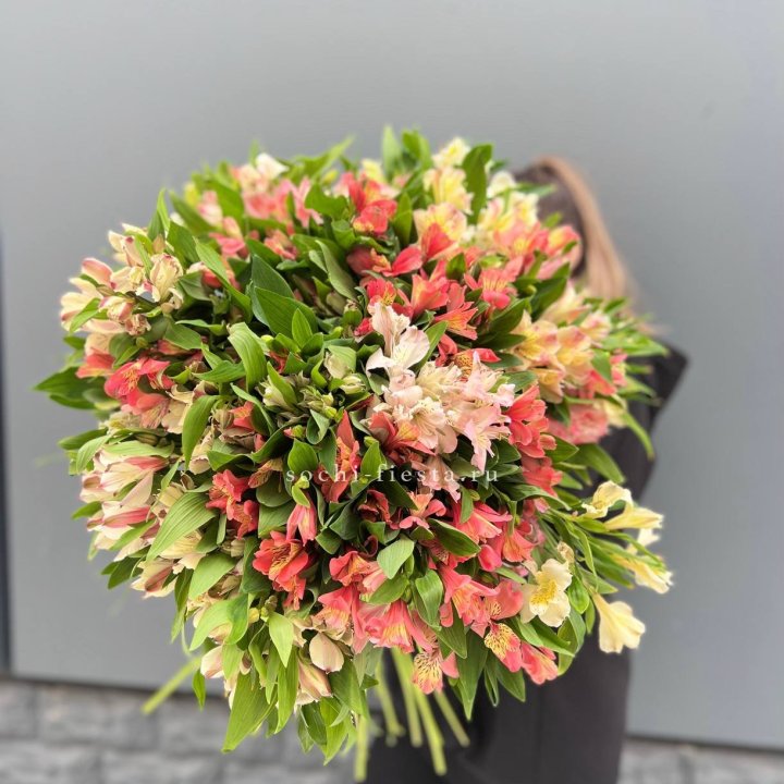 51 альстромерия в Красной Поляне