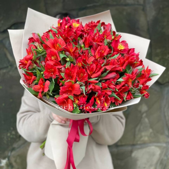 51 альстромерия в Красной Поляне