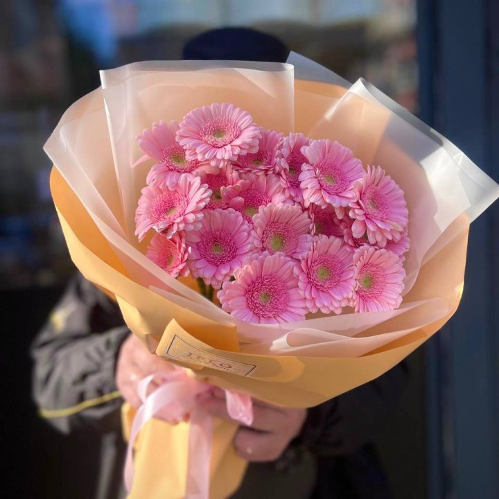 17 розовых гербер  в Красной Поляне