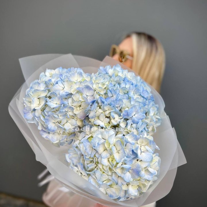 Букет гортензий "Blue" в Красной Поляне