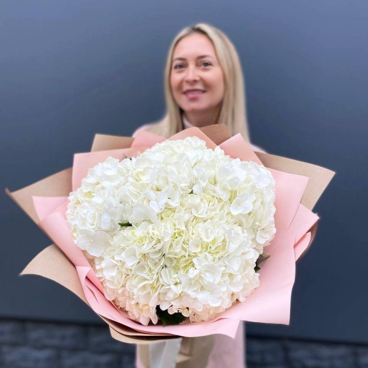 Гортензия Flakes в Красной Поляне