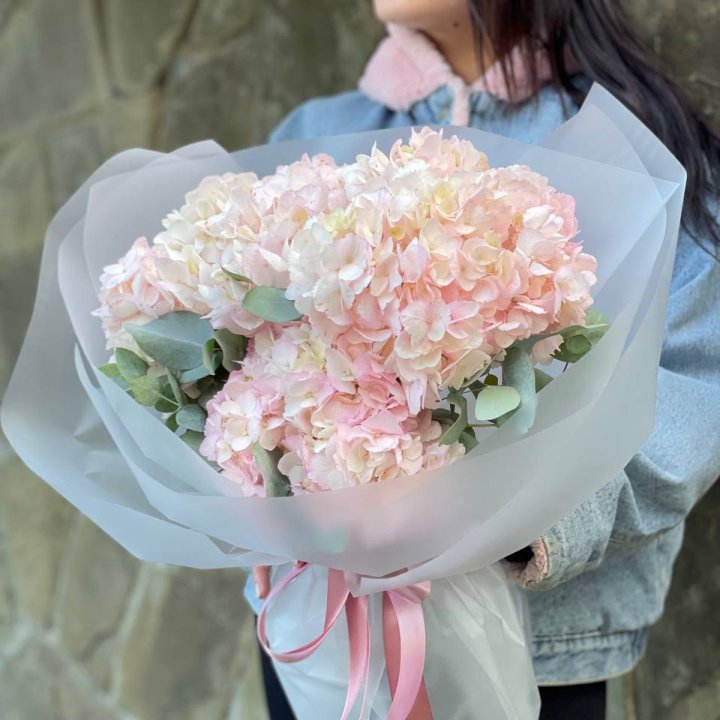 5 розовых гортензий в Красной Поляне