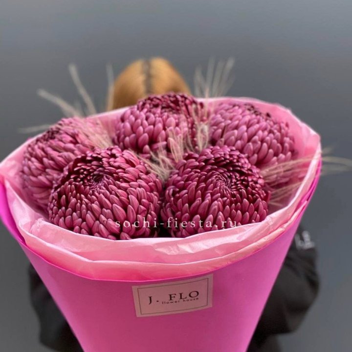 Хризантемы  Бигуди с стифой в Красной Поляне