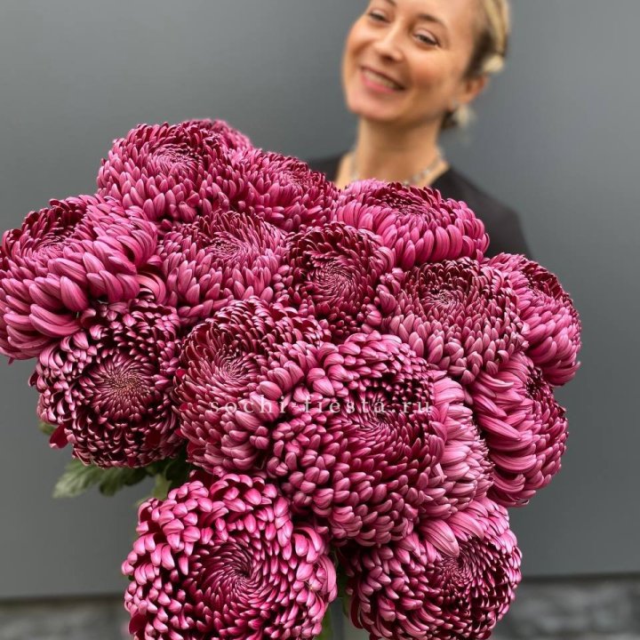 Охапка хризантем Бигуди в Красной Поляне