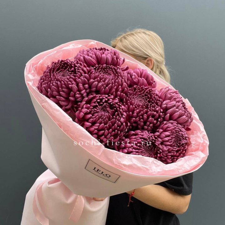 9 хризантем бигуди в Красной Поляне