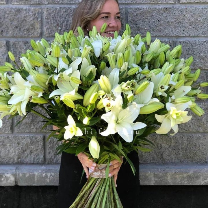 51 лилия в Красной Поляне