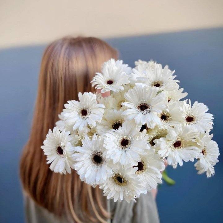 Охапка гербер в Красной Поляне