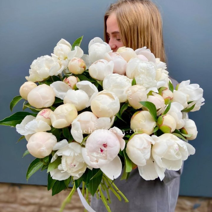 Охапка пионов в Красной Поляне