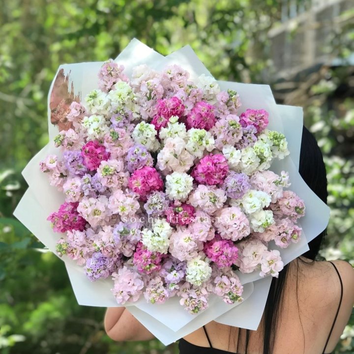 Букет Ароматной Маттиоллы №3 в Красной Поляне