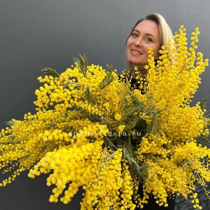 Охапка мимозы №2 в Красной Поляне