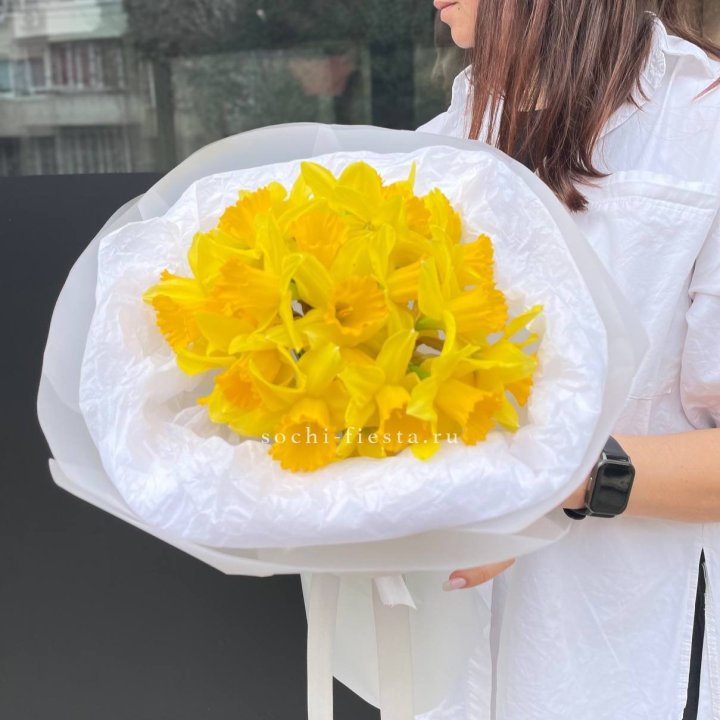 Нарциссы 25 шт в Красной Поляне