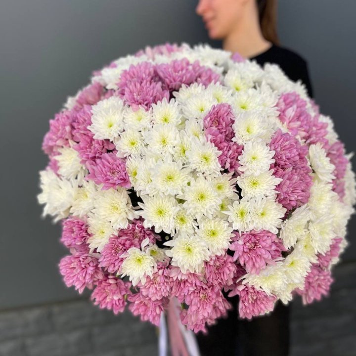  Букет 25 хризантем микс в Красной Поляне