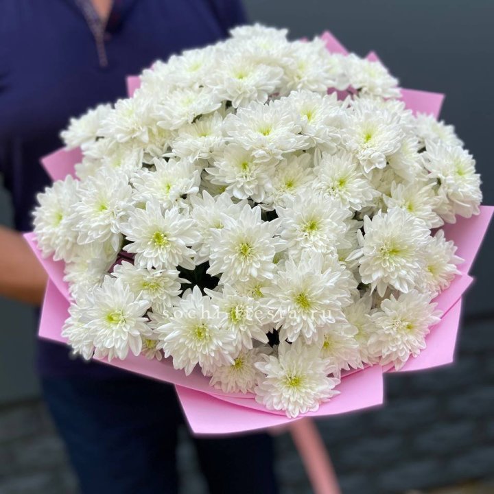  Букет 15 хризантем  в Красной Поляне