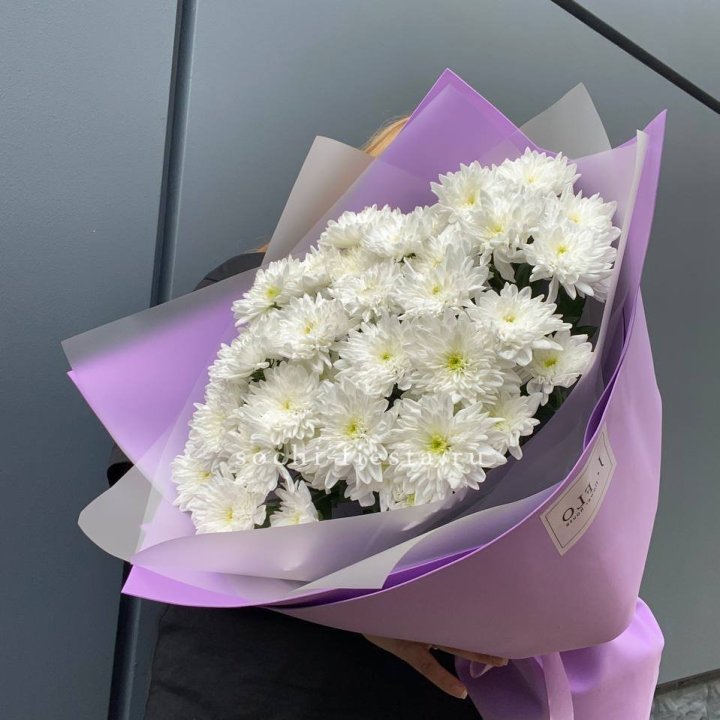  7 хризантем  в Красной Поляне