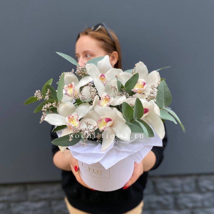 7 орхидей в боксе в Красной Поляне