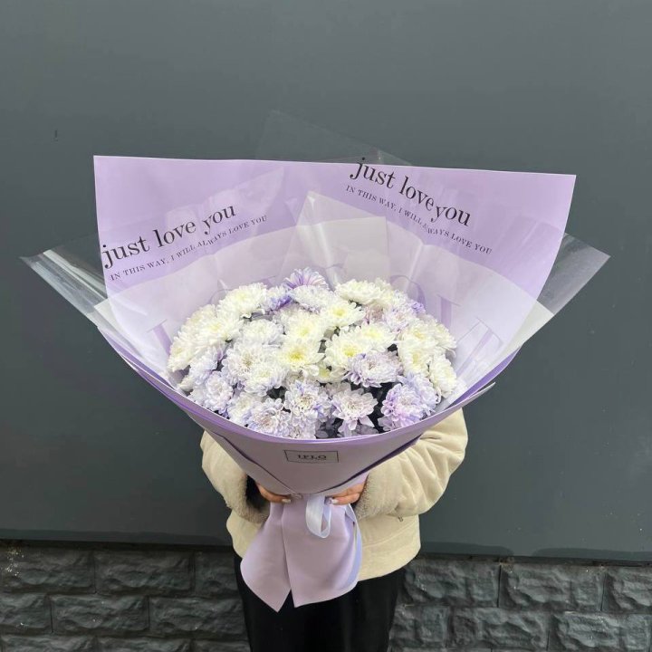 9 воздушных хризантем в Красной Поляне