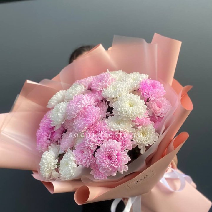  Букет бело-розовых хризантем  в Красной Поляне
