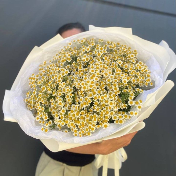 Букет ромашек №2 в Красной Поляне