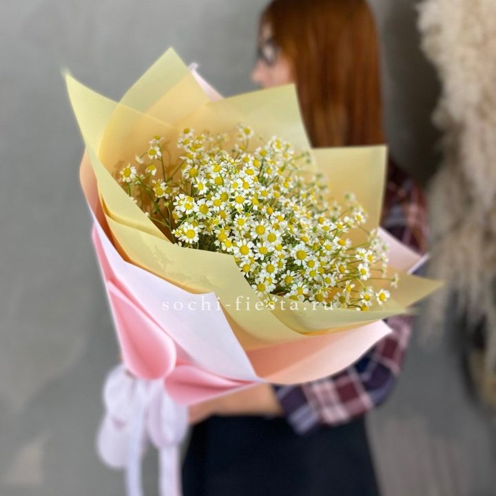 Букет ромашек №3 в Красной Поляне