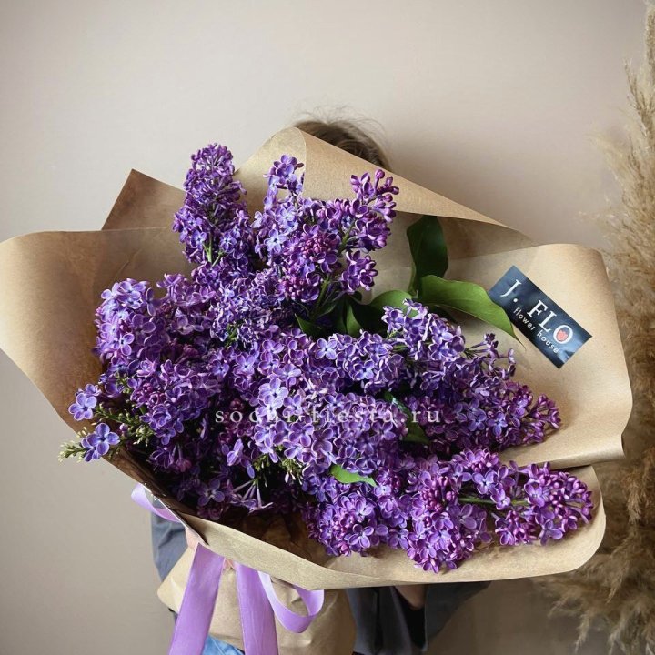 Букет сирени №1 в Красной Поляне